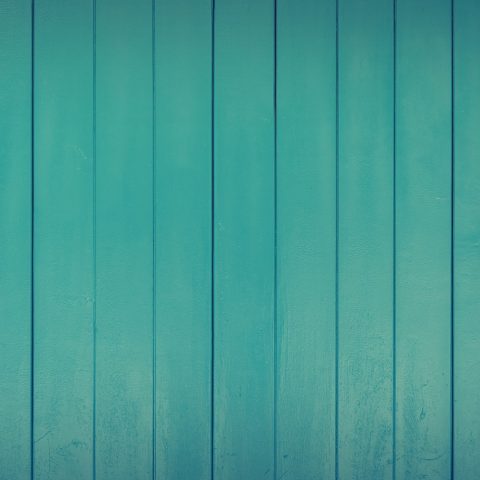 Was soll bloß aus dir werden? Kannst du schon: Master in Blockflöte