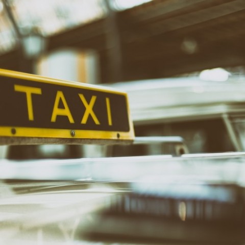 Gesellschafts- und Geisteswissenschaften: Bachelor of Taxischein?